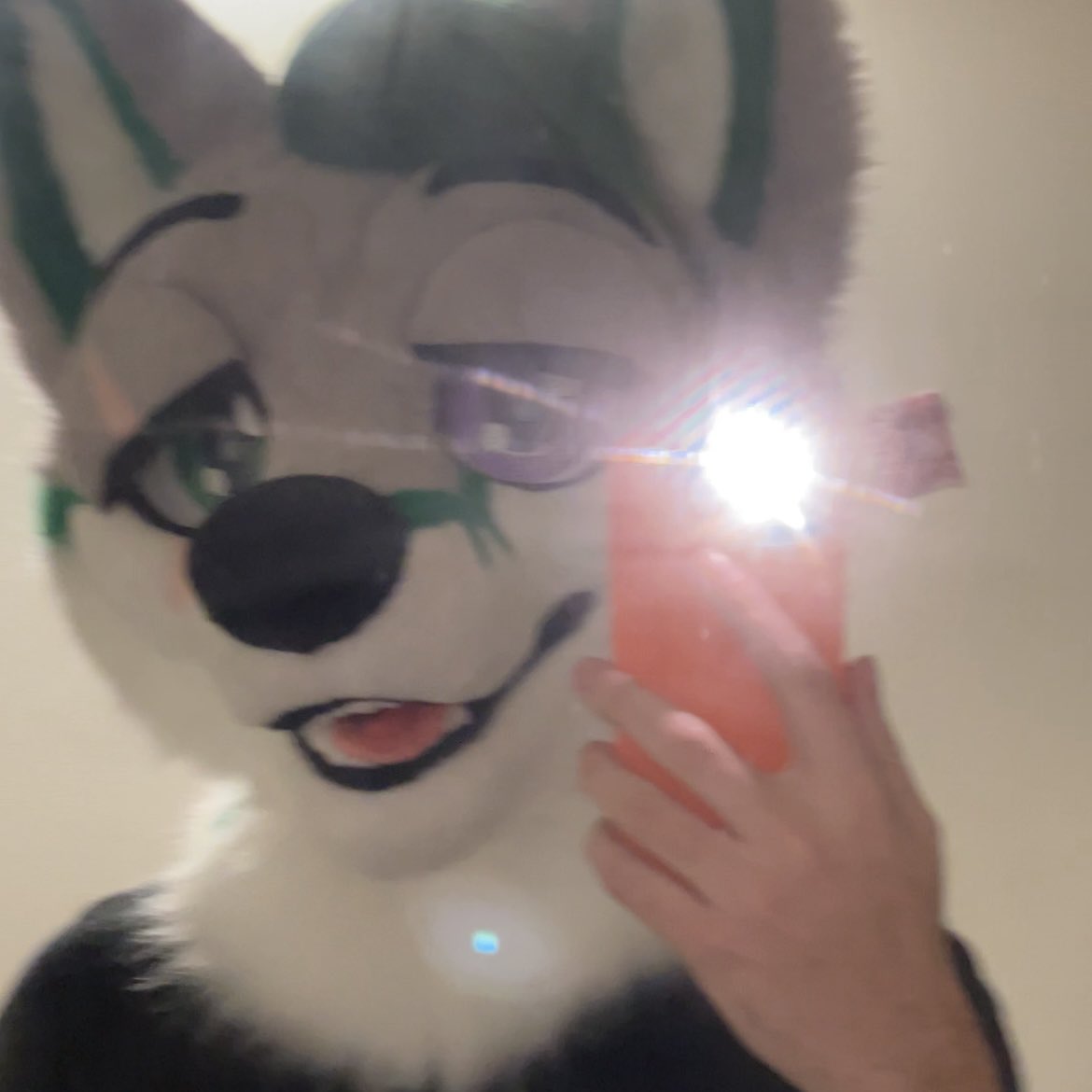 Sevi_Folf's tweet photo. Meet my new suit, Sevi (AKA Emrald)! @/fluffy_leon on IG did such an amazing job bringing him to life!

#fursuit #fursuiter #furryfandom https://t.co/XUgQyXZVp3