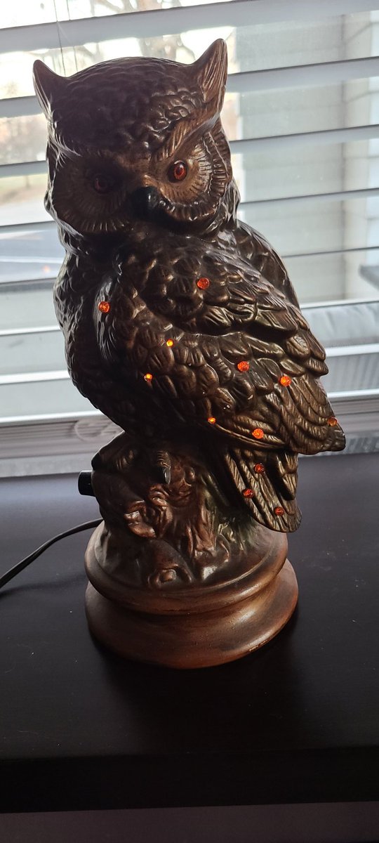 Mhofoo's tweet photo. Just wanted to show off my new owls. Thanks to @darangen and my Mom. I love them! https://t.co/4gANqGy2Bi