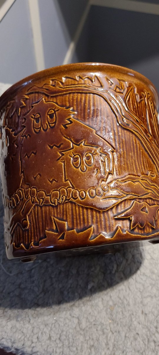 Mhofoo's tweet photo. Just wanted to show off my new owls. Thanks to @darangen and my Mom. I love them! https://t.co/4gANqGy2Bi