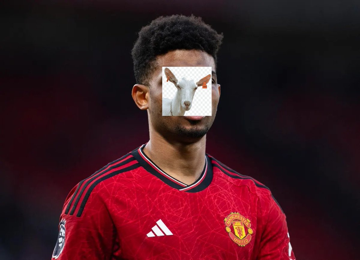 Zink (@zzinkfn) on Twitter photo 