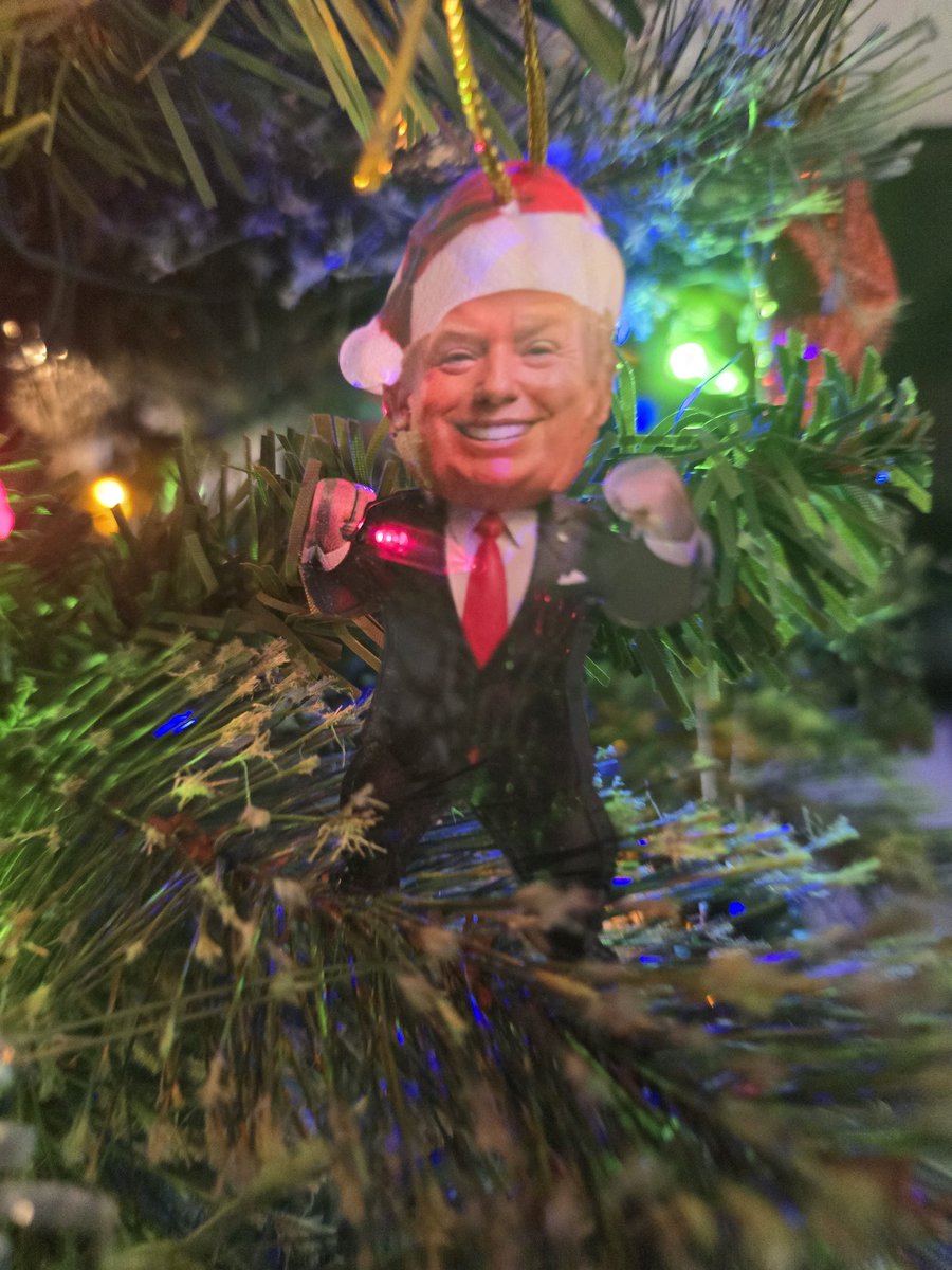 bridgetw81's tweet photo. @realDonaldTrump @DonaldJTrumpJr @IvankaTrump  I love my Trump Tree ♡♡ https://t.co/VXrWpUTPQZ