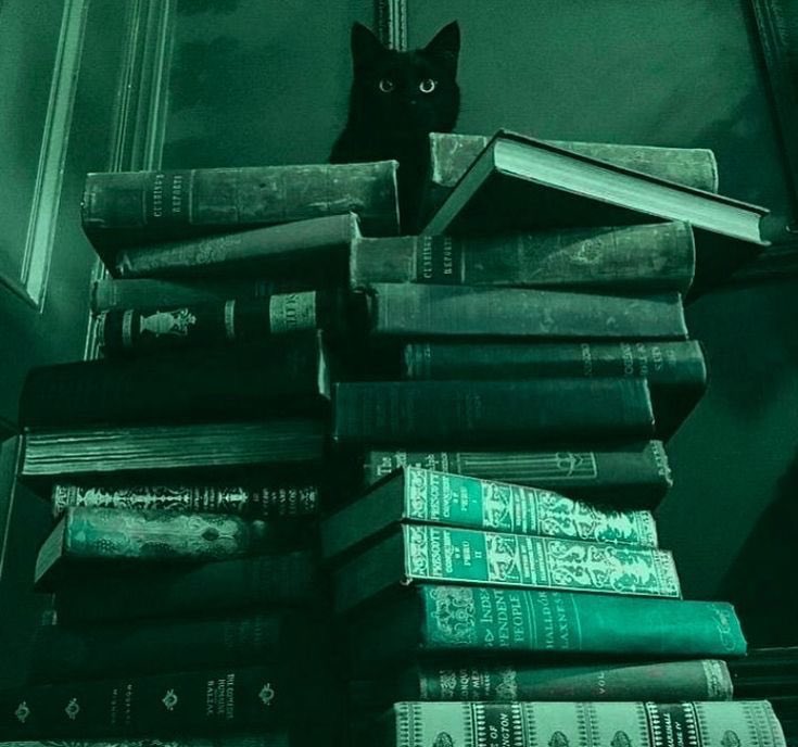 Dra•mati•co Malfoy tweet media