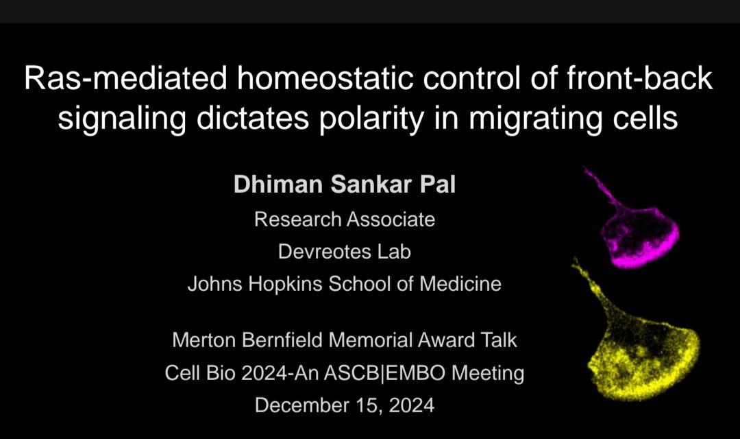 Devreotes Lab - Johns Hopkins University (@devreoteslab) on Twitter photo Go ahead and check out this wonderful award talk by our postdoc <a href="/DhimanPal8/">Dhiman Pal</a> at the Emerging Leaders Awards session <a href="/ASCBiology/">American Society for Cell Biology</a>!! The session begins at 3pm in Room 28C today! Go ahead and check out this wonderful award talk by our postdoc <a href="/DhimanPal8/">Dhiman Pal</a> at the Emerging Leaders Awards session <a href="/ASCBiology/">American Society for Cell Biology</a>!! The session begins at 3pm in Room 28C today!