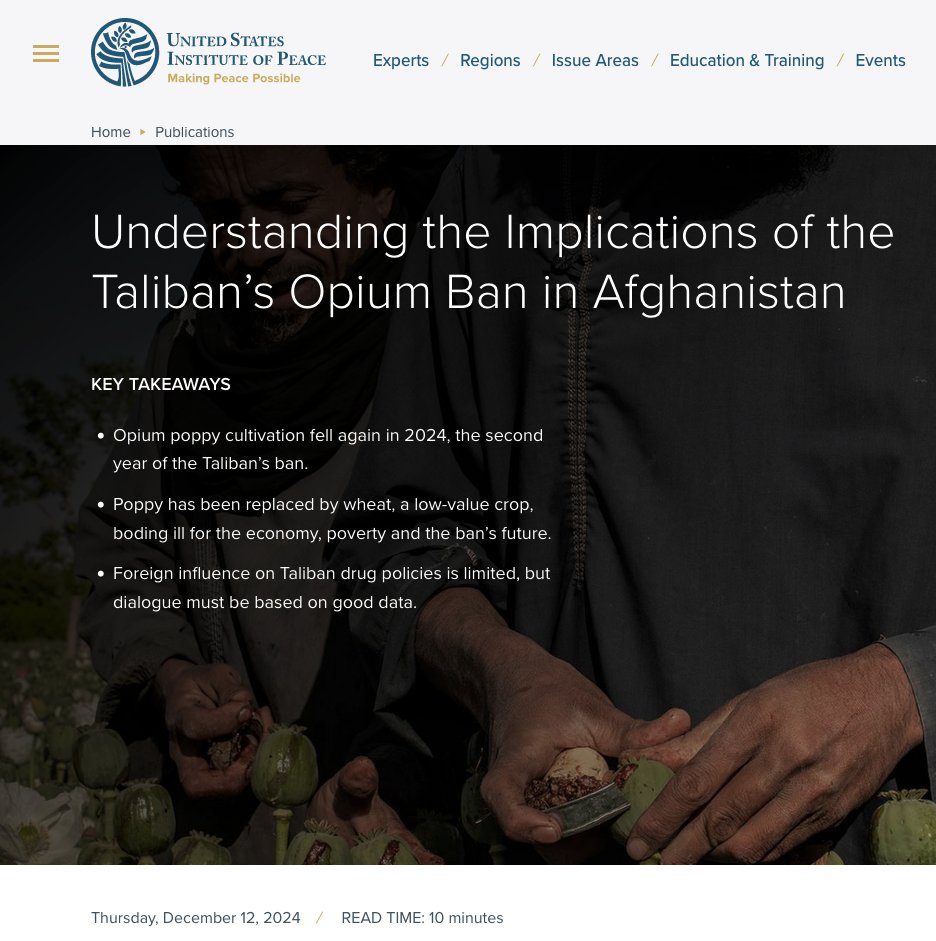 "Poppy has been replaced by wheat, a low-value crop, boding ill for the economy." 

It's mind-blowing to see the principles of American narco-capitalism stated so plainly: Fuck food, grow drugs, get rich or die trying.