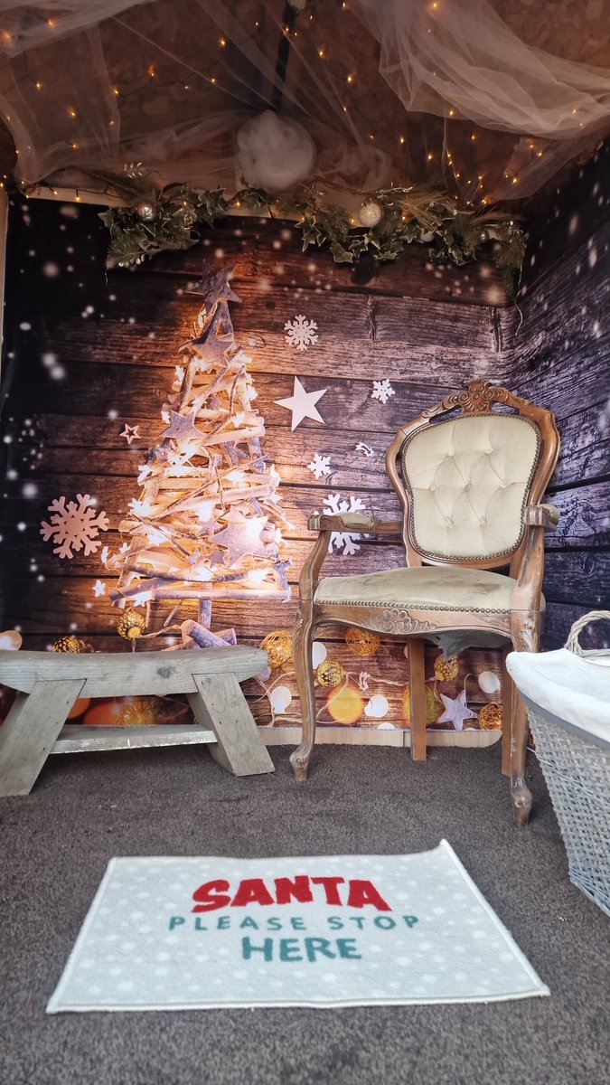 Wild Bears Forest School CIC tweet media