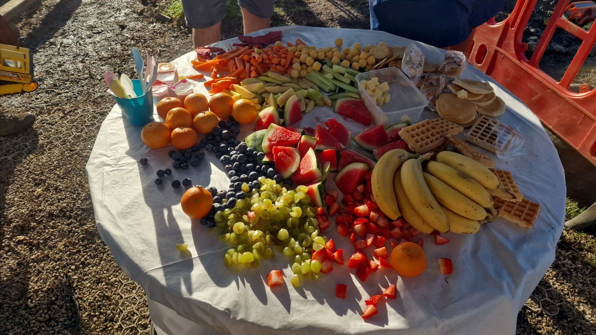 Wild Bears Forest School CIC tweet media