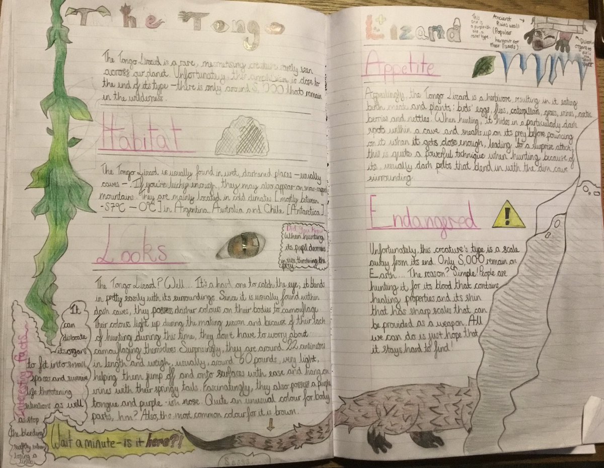 6B_stjohns's tweet photo. Some examples of our recent non chronological reports 🤩 https://t.co/C71tYGuhKj