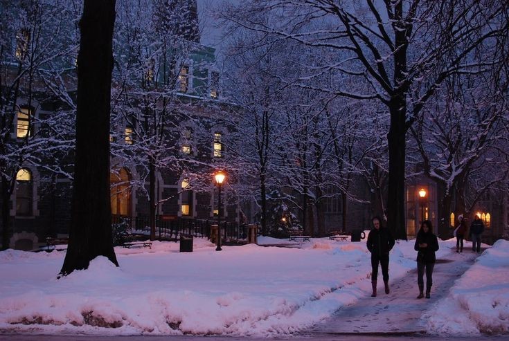 elemmiressoul's tweet photo. snowy nights.🩶 https://t.co/kHYAsZJXng