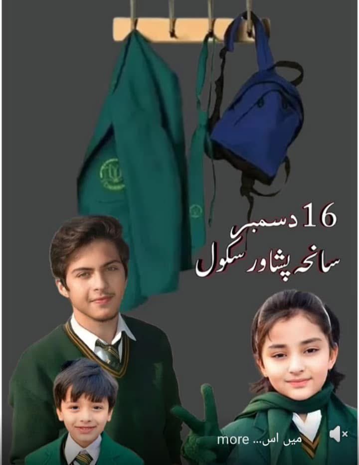 sajidusmani787's tweet photo. سانحہ اے پی ایس پشاور

حملے کی منصوبہ بندی افغانستان کے صوبے کنڑ میں کی گئی تھی۔ حملہ آور تنظیم کا بیس کیمپ افغانستان تھا اور حملے کے ماسٹر مائنڈ خراسانی کو اس وقت کی افغان حکومت نے افغانستان میں چار گھر دے رکھے تھے۔ حملے کی قیادت نعمان شاہ ہلمند نامی افغانی کر رہا تھا۔ پاکستان میں حملہ آؤروں کے سہولت کار بھی افغانی تھے۔ 
اس حملے پر پوری دنیا نے دکھ کا اظہار کیا تھا۔ لیکن افغانیوں نے اس عظیم سانحے پر بھی "خوند ی شتہ" یعنی "مزہ آیا؟" کے سٹیٹس لگائے تھے۔ 
اگر یہ کہا جائے کہ اے پی ایس کا حملہ افغانیوں کا پاکستان کو لگایا گیا سب سے گہرا زخم ہے تو غلط نہ ہوگا۔ 

اس حملے میں مجموعی طور پر 149 لوگ شہید ہوئے جن 134 بچے تھے۔ جب کہ 121 زخمی ہوئے تھے۔ سکول میں موجود 950 بچوں اور استاتذہ کو پاک فوج نے ریسکیو کر لیا تھا۔

جون 2014ء میں دہشت گردوں نے کراچی انٹرنیشنل ائر پورٹ پر حملہ کر دیا۔ ٹی ٹی پی نے ذمہ داری قبول کی۔ جس کے جواب میں پاک فوج نے فاٹا میں آپریشن ضرب عضب کے نام سے دہشت گردوں کے خلاف سب سے بڑا آپریشن لانچ کیا۔

اس آپریشن کے لیے ملک بھر میں جگہ جگہ سیکیورٹی پر تعئنات فوجیوں کی تعداد کم کر دی گئی اور زیادہ تر فوج دہشتگردوں سے فیصلہ کن جنگ کرنے کے لیے وزیرستان بھیج دی گئی۔
1/6