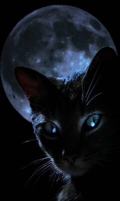 🟢✒️𝑩𝑹𝑨𝒀𝑨𝑵 𝗟𝗲𝗼𝗻☢️🖤#ML3HijosDelRolBot🟦 tweet media