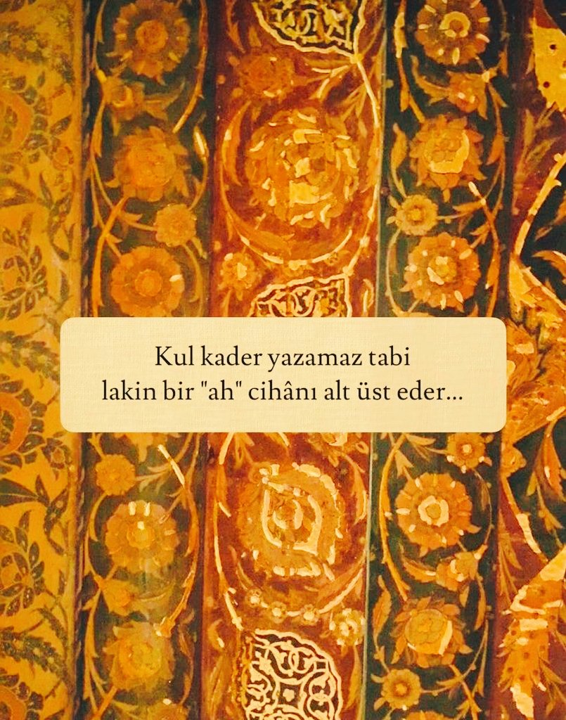 gazatr's tweet photo. https://t.co/QuKj6kkYcH
