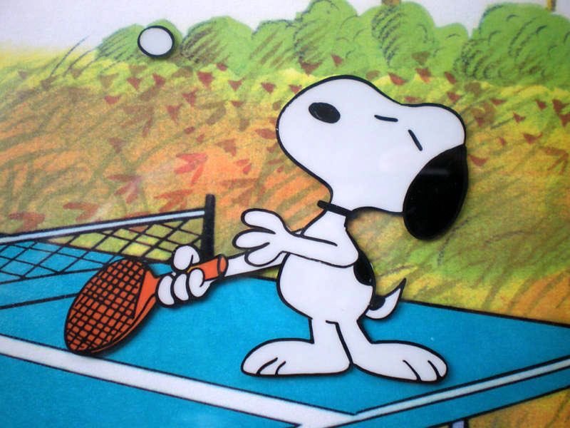 schecosnoopy's tweet photo. https://t.co/FXtXk1gWLO
