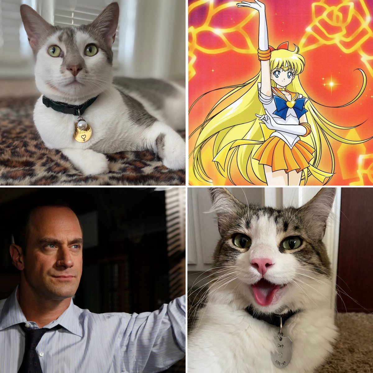 Christina Buttons tweet media