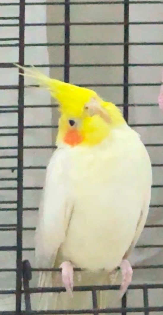 _n4wm's tweet image. My heart 🤍✨