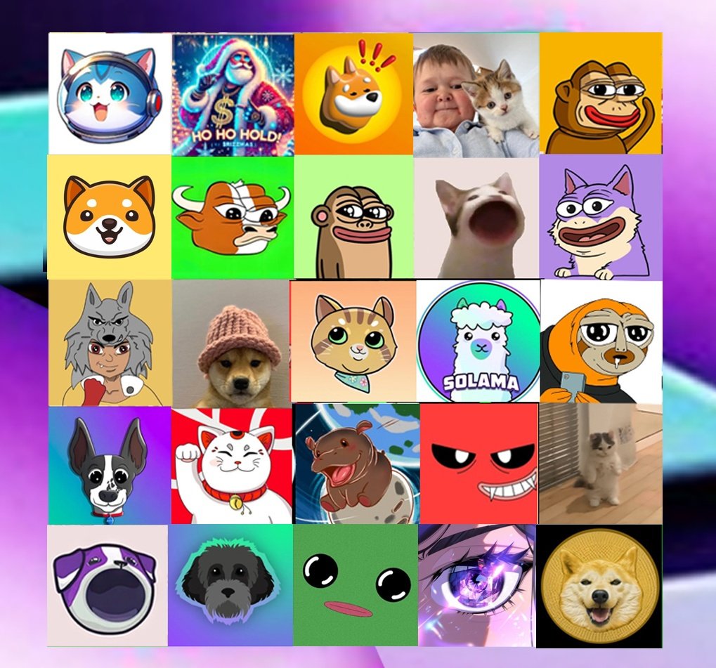 elonmuskdoge69's tweet photo. Name one memecoin that will #100x 🚀 https://t.co/fohaDpzLdb