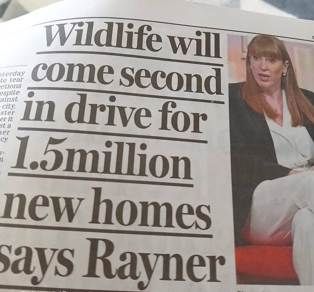 domdyer70's tweet photo. Does anyone believe Labour can build over 1.5 million homes on green belt land without destroying more wildlife &amp; habitats in the most nature depleted county in Europe @Keir_Starmer @AngelaRayner https://t.co/E6xdSutClA