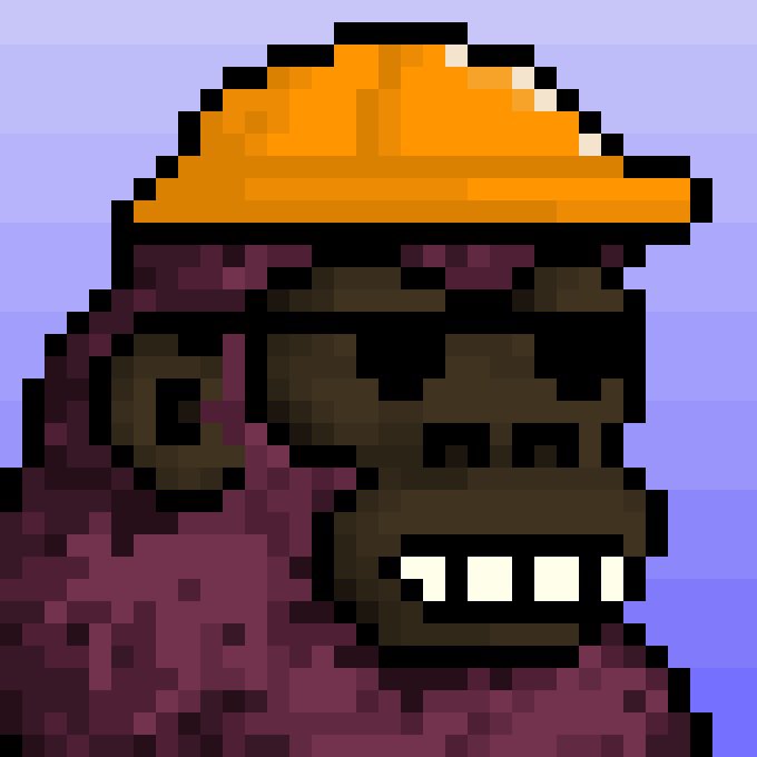 MonkeBagz ✊ tweet media