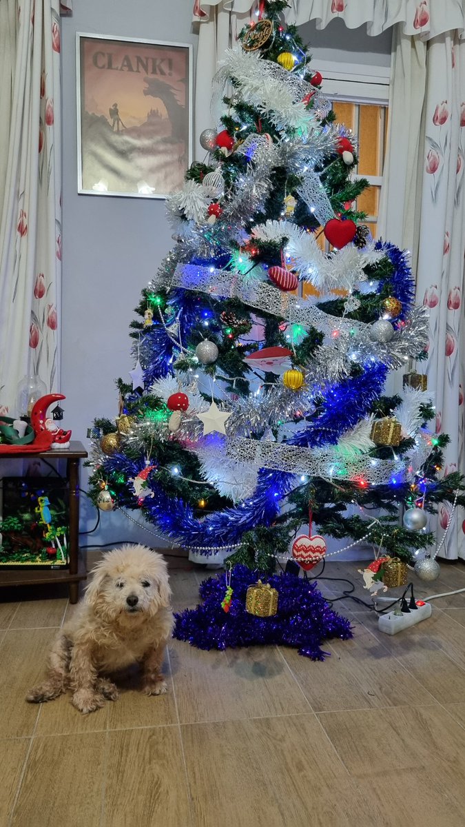 M2AH's tweet photo. @twaniimals https://t.co/uS88cx2wb3