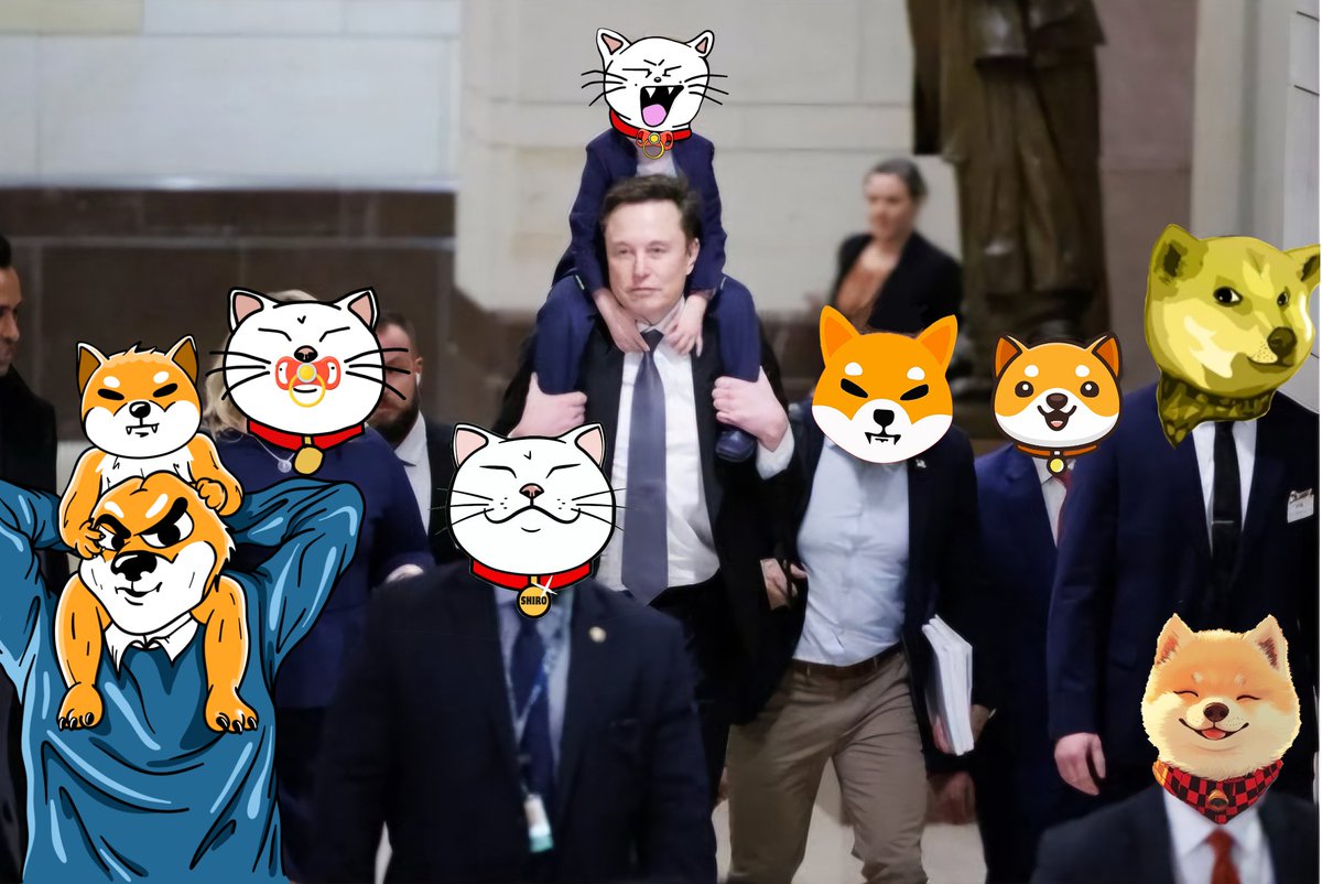 Baby_Shiro_Neko's tweet photo. @degenIzzy $SHIRO &amp; $BSHIRO ain't that right Daddy 👀? 
@shiro #catseason 😻

Meme Gen 👉 https://t.co/55SG0K0NK2

$ETH $SHIB #Shiba #BabyShiro #ShiroNeko #Eth https://t.co/rd536eqegV