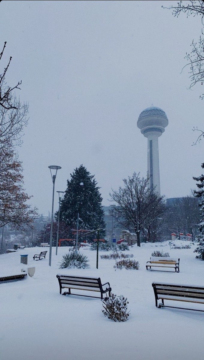 ceku balim tweet media