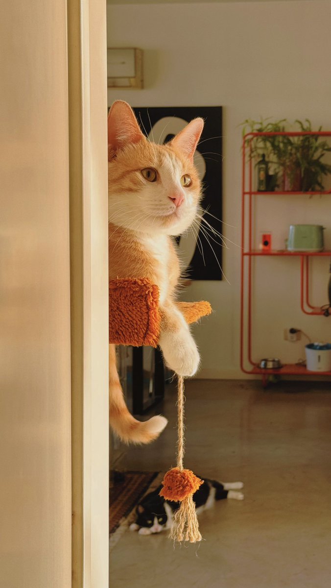 Felipe esperando que salga del baño para mostrarme como le pega la luz.