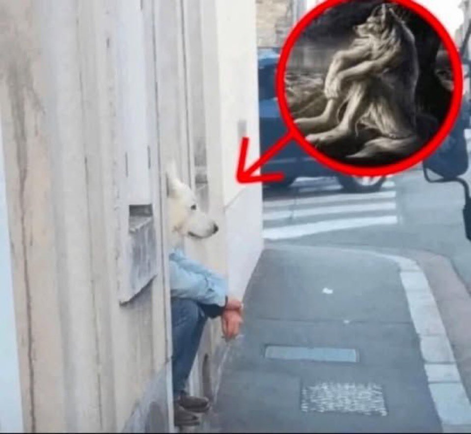 Teletubbie tweet media