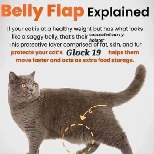 LocalDeadbeatCA's tweet image. T O N I G H T
WE ARE TEAMING UP WITH @hoitytoityofficial @DBCinemaBand @InBalanceCA @stalemate.ca to host a banger of a benefit. 100% of tickets/door do to @carma_oc_rescue - following venue fees. Carma kicks butt and they're some of the nicest people. 
Music starts at 7