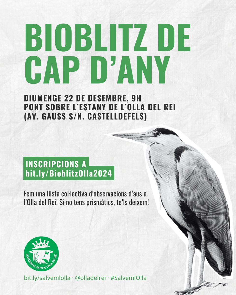 Descobreix la biodiversitat de l’Olla aquest 22 de desembre amb el #BioblitzOlla2024 🌲🐦

Una activitat per a experts i principiants que volen contribuir a la ciència ciutadana. 💚 #SalvemlOlla

Confirma la teva assistència 👉 bit.ly/BioblitzOlla20…