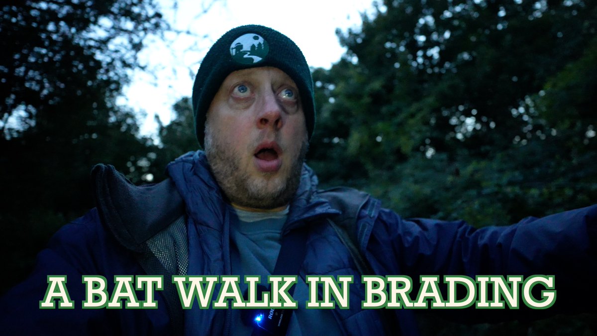 A video of a cool bat walk in Brading. youtu.be/2yKcF0nSFrQ