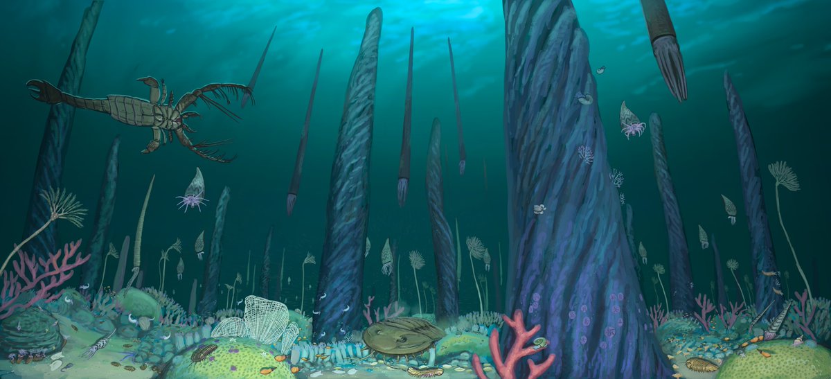 Here the result of the last formation stream of 2024. Over the course of 6 hours we explored the many organisms that inhabited the reefs of the Whitewater formation.