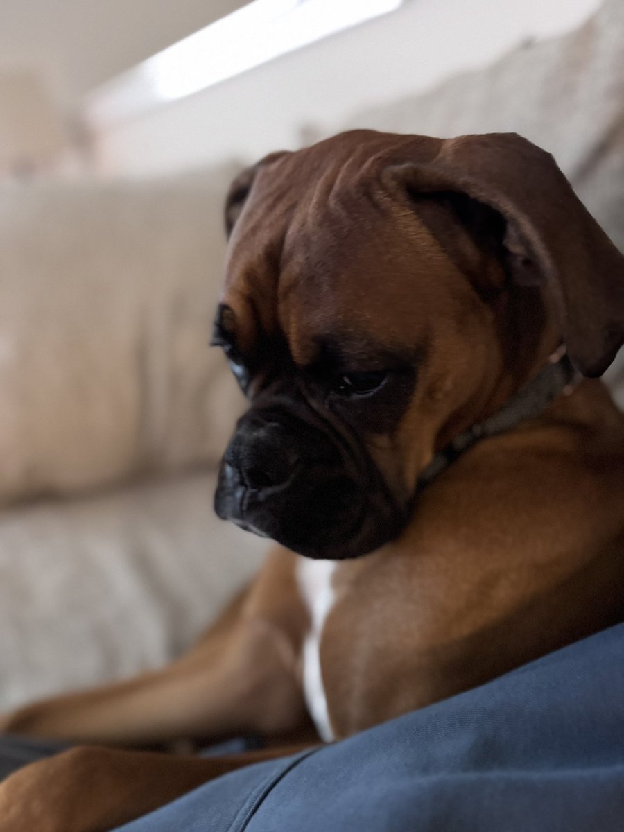 Deep concentration…