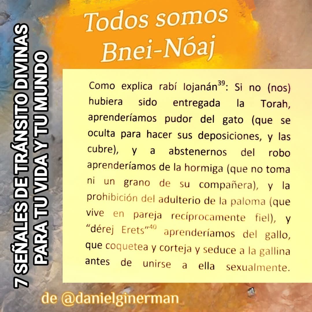 danielginerman's tweet photo. Las primeras 7 #mitzvot #preceptos de la #Torah son universales, y sientan las bases de una sociedad humana digna, buena, justa, libre, próspera y conectada a su Creador. En este libro, introduzco el tema y luego las releo, con gran atención, en clave de nuestro tiempo.
Presentación y E-Book: https://t.co/H2M1DbAqdK
Impreso & Kindle: https://t.co/CTd9NqJMRi