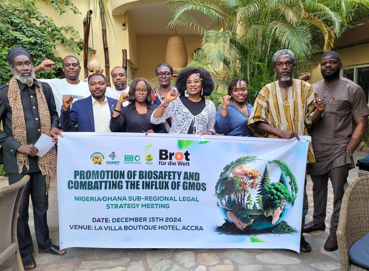 Ghanaians &amp; Nigerians reject GMOs. Legal experts from both countries brainstorm in Accra on how to pull the continent out of the jaws of risky technologies and rid the continent of food colonialism.
#BanGMOs 
#Biosafety 
#SafeFood 
#Agroecology