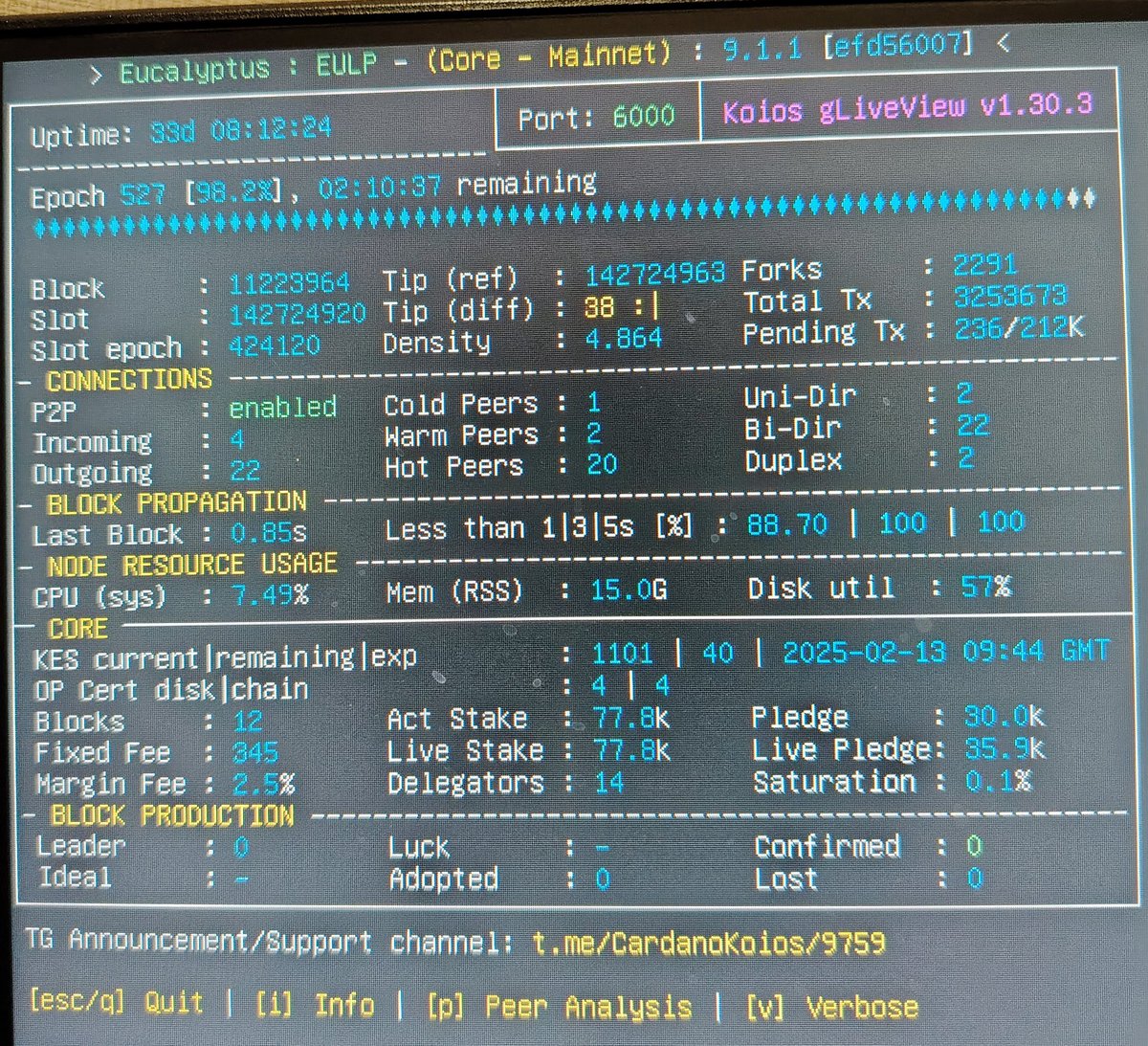 EucalyptusPool's tweet photo. What do I do with #Cardano stake pool #Eucalyptus that is not minting blocks which also shy of stake holders review and let me know just don't want to shutdown burning the energy 👀 https://t.co/XuSAAXx15a