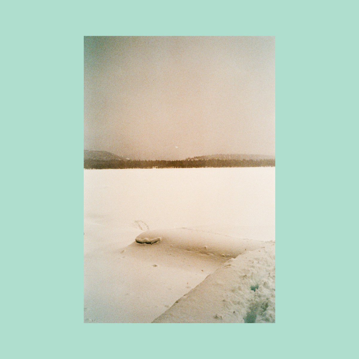 sean flanigan tweet media