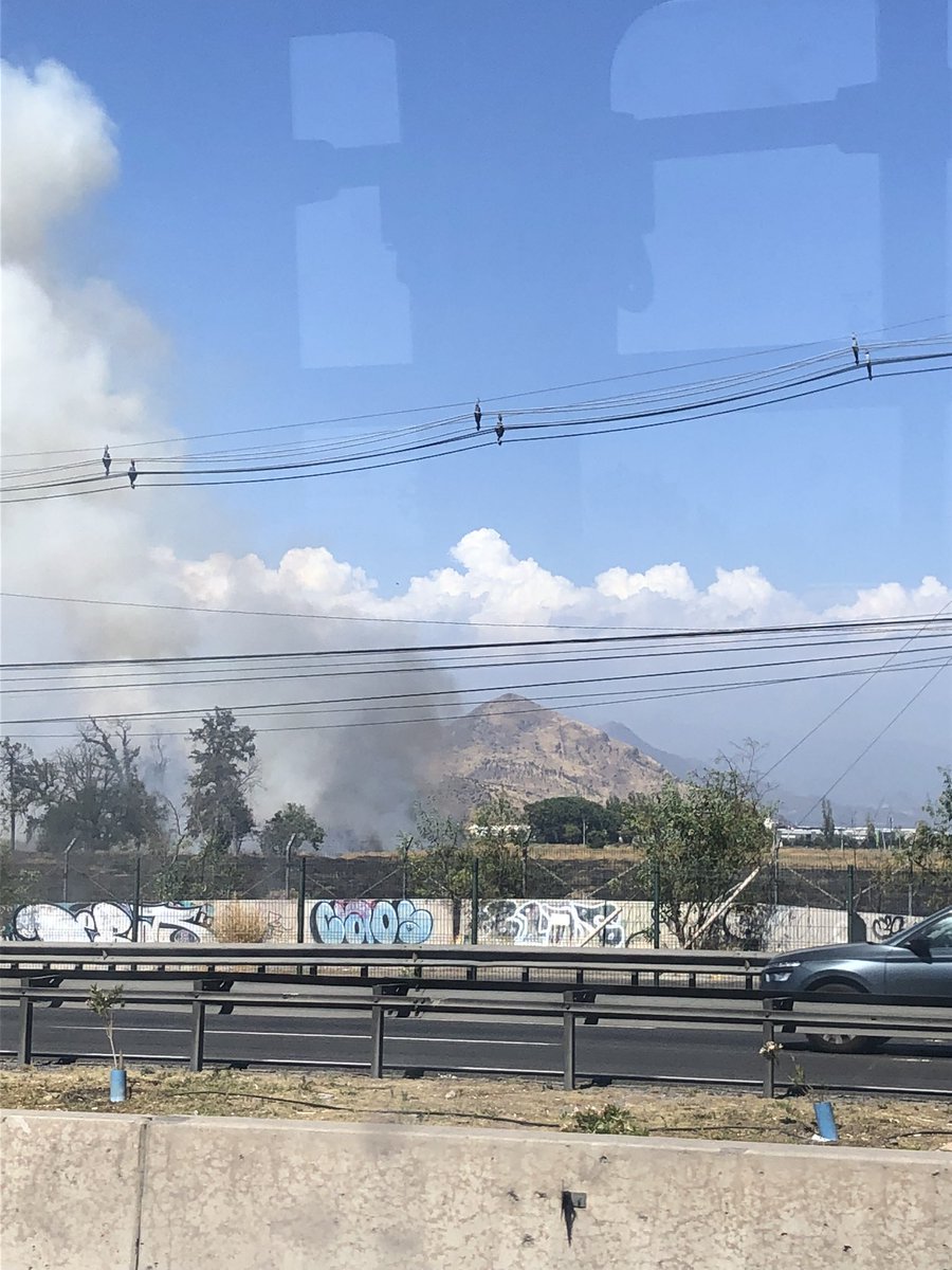 Macarena S. tweet media