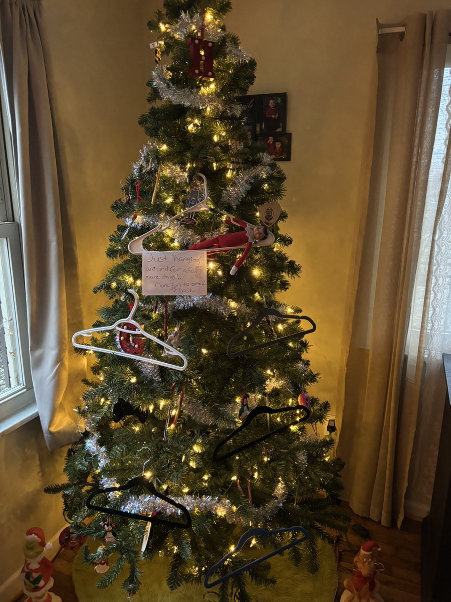 cutecolleen85's tweet image. Since the kids were at my inlaws house, they are just now seeing Dash and what he got in too! 😂

Dash is just hanging around! (few more days! haha)

#adventureswithDash #elffun #Christmas2024