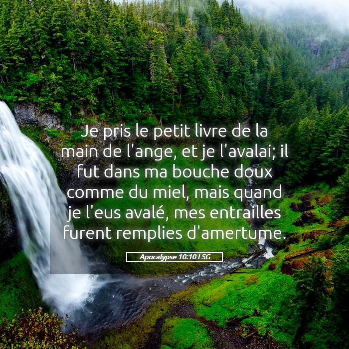 gael_wakamb's tweet photo. Il y en a sur terre, mais rares sont ces plaisirs qu'on ressent qui surpassent celui qu'on ressent lorsque la main de l'Éternel, l'onction prophétique descend sur nous.
#BUTAMU Même quand ça te rends triste, anxieux, mélancolique... Ces émotions font mal mais n'empêche que https://t.co/XOaSC8qKsZ