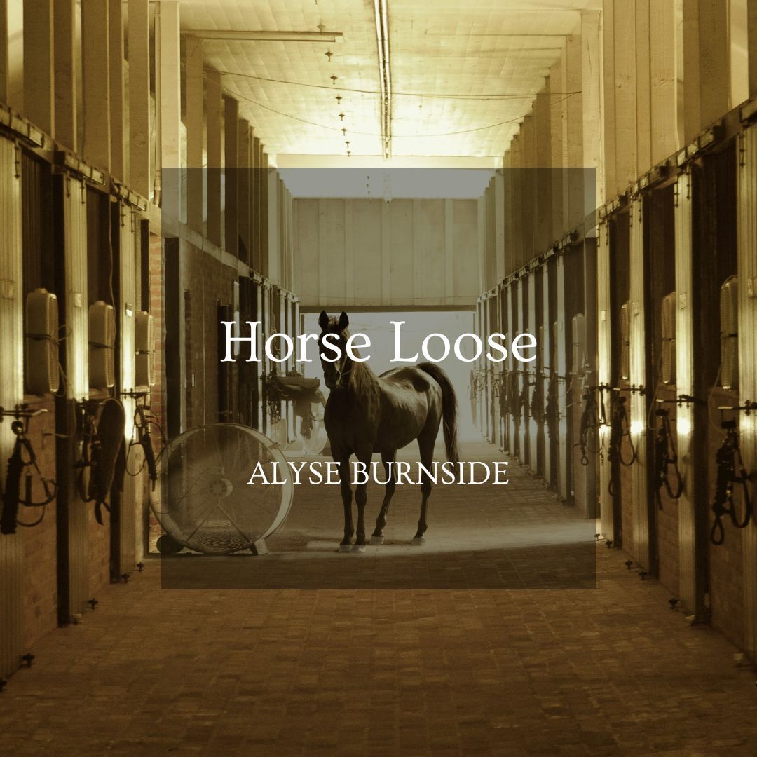 swamp_pink's tweet photo. “A barn at daybreak is eerily quiet, a shallow rustling of limbs, hooves against the lime foundation, birds fucking in the rafters, slow knickers, horses gently grinding their teeth...” Read Alyse Burnside’s  (@comicsanstorm) story “Horse Loose” today at https://t.co/EmitulQRtb https://t.co/k9NaSaYAeF