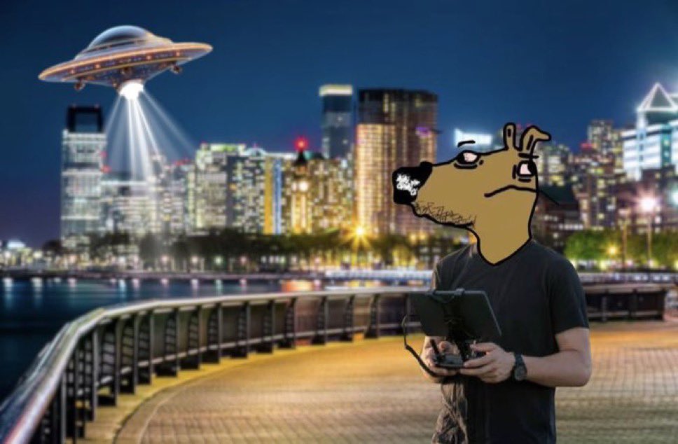 Whole world asking what those things are

I'm just a Solguy flying my drone
