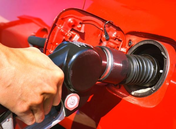 Learn how to save money on gas so you can still meet your budget and go on that next vacation! Did you know that there are 3 main ways you can save on fuel?

s.mtrbio.com/tuqsrfjrgu

#budgettravel #budgettrips #traveltips #roadtrip #roadtriptips #penniesplacesandpaws