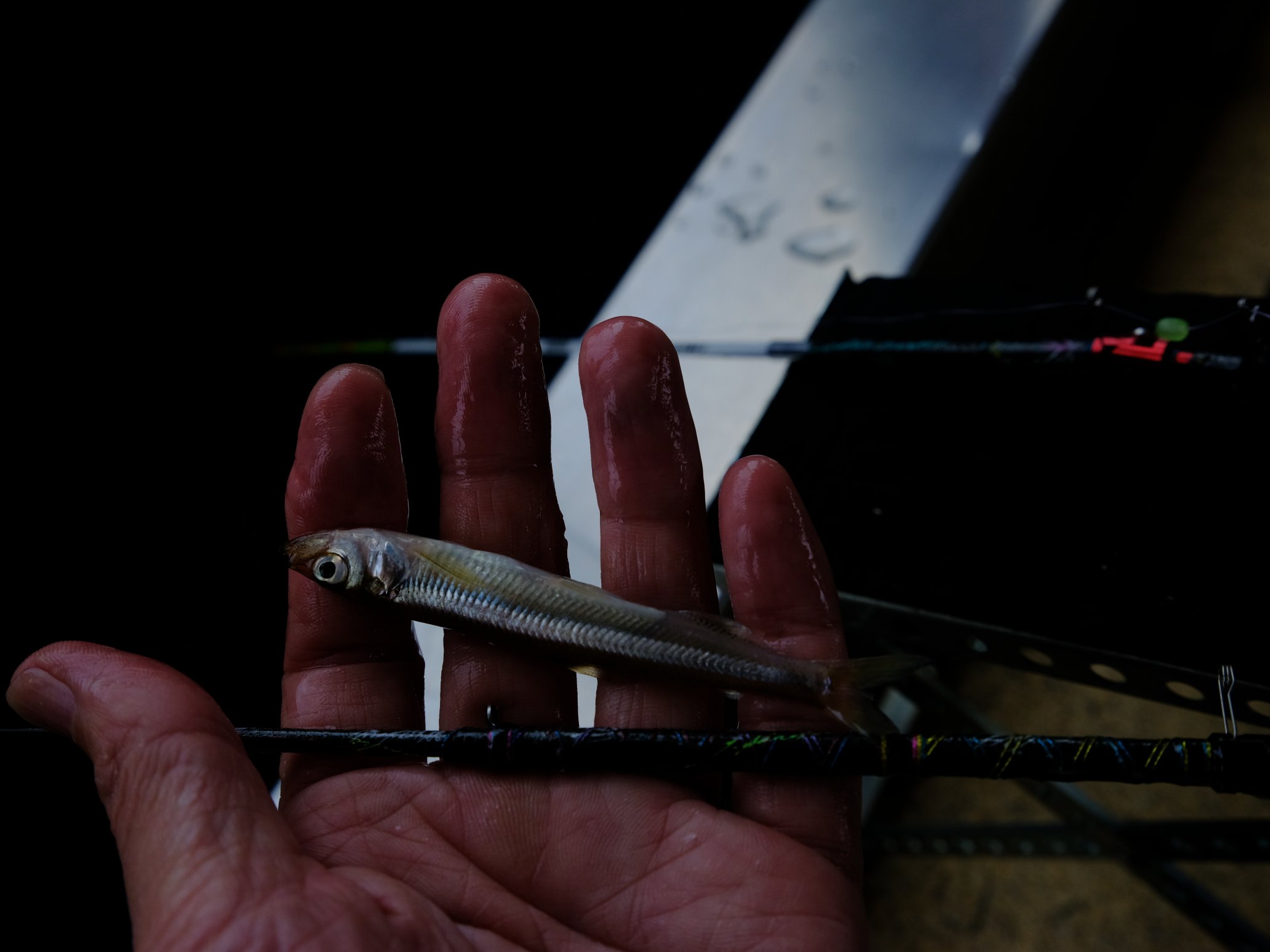 バリバス エアロMAX299 魔改造穂先 4点セット Full-tune