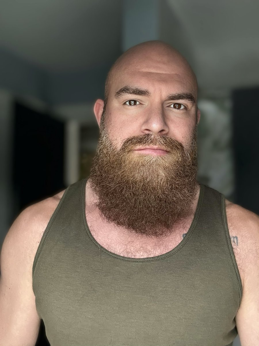 pavone614's tweet photo. Going for a smoldering Santa beard style… https://t.co/XVq5OmPp2L