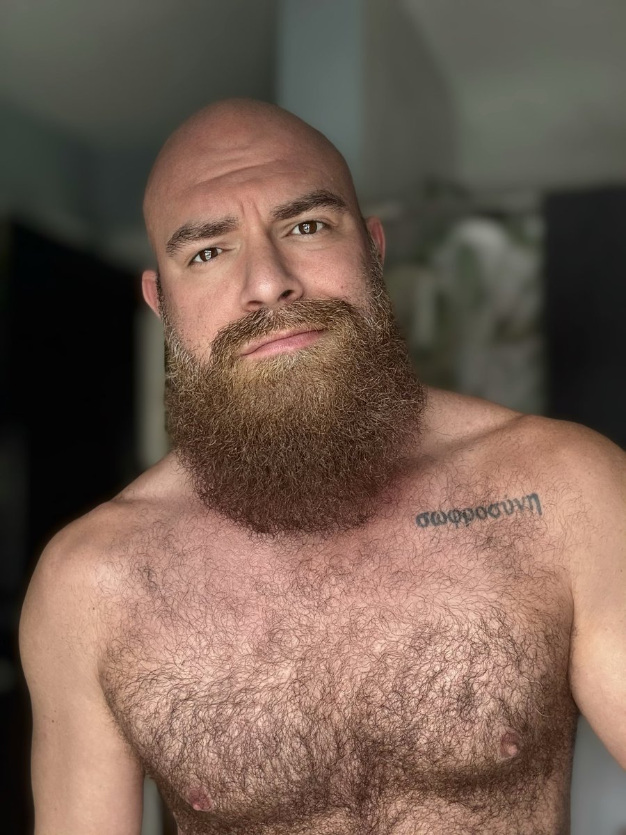 pavone614's tweet photo. Going for a smoldering Santa beard style… https://t.co/XVq5OmPp2L