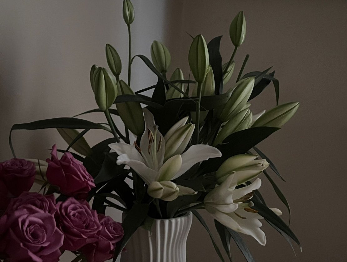 iaill7's tweet photo. As I flourish beside you. https://t.co/PdQmyO19Ki