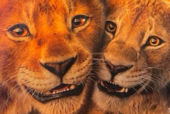 Justin Decloux tweet media