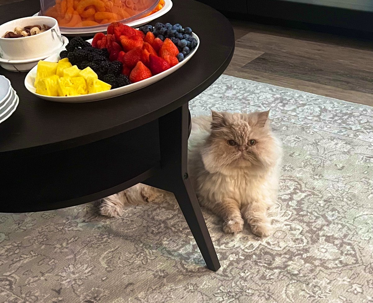 He is waiting for the guest