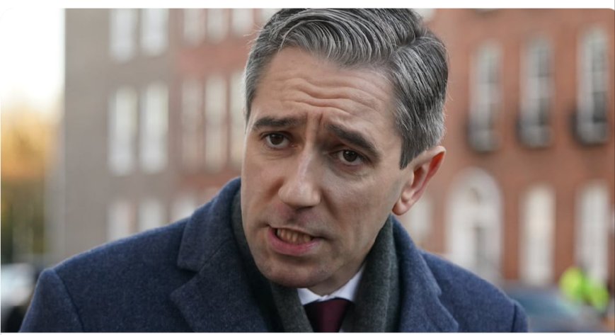 Paddy McKenna tweet media