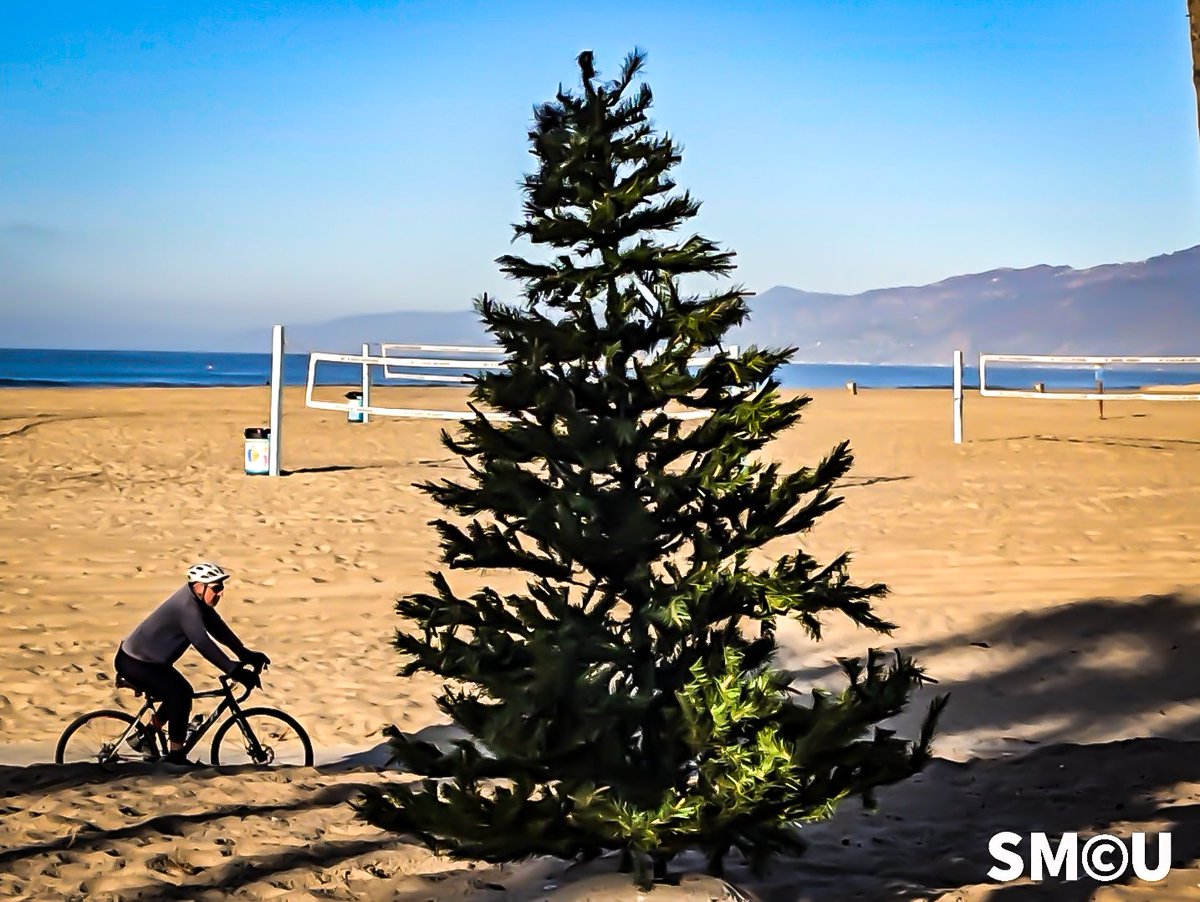 Holiday Spirit on Venice Beach

A Christmas tree appeared on the sands of Venice Beach Sunday, reportedly placed by a homeless individual. The tree brings an unexpected touch of holiday cheer to the shoreline.
