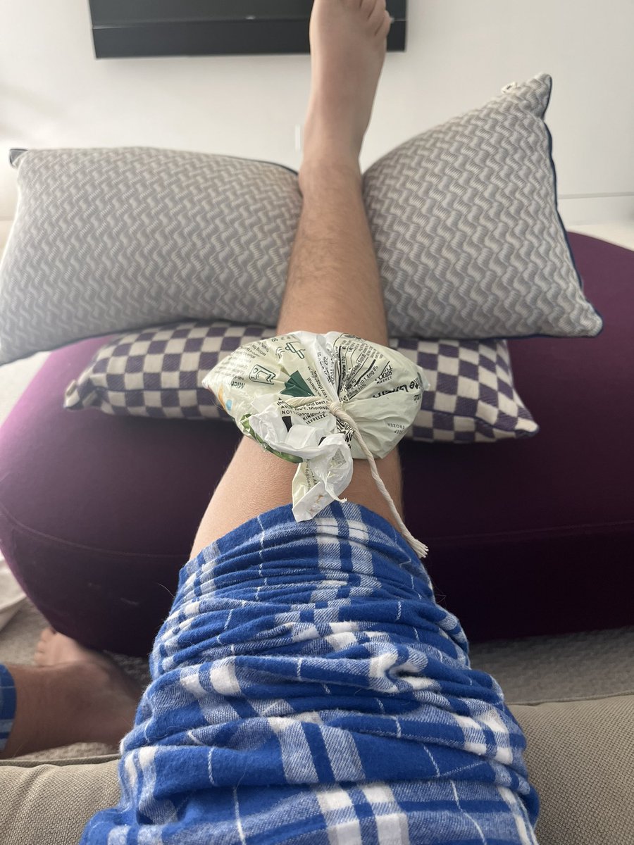 manlymenofsiwi's tweet photo. Literally still recovering from his knee surgery tomorrow, Danny stein is our 39th term mazkir! 🥰 https://t.co/3l2yPhi6LC
